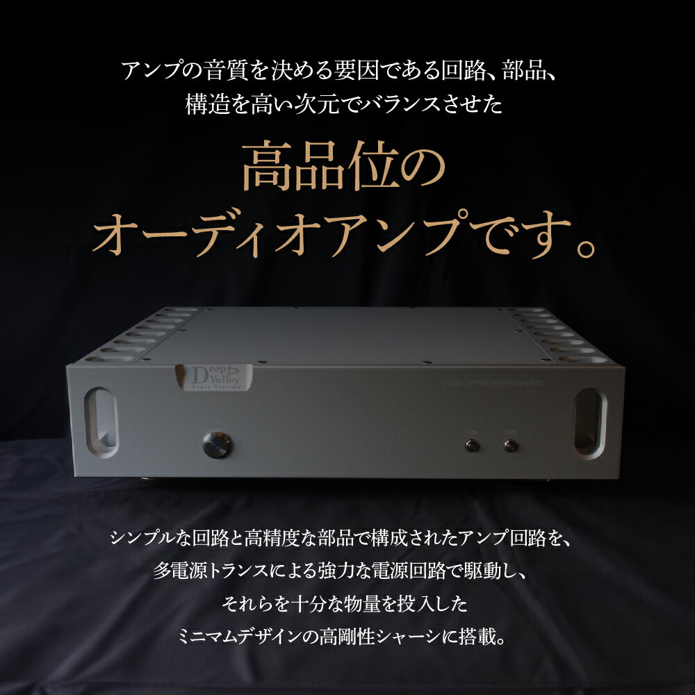 【ふるさと納税】光フォノアンプ＜カラー：シルバー＞　【11218-0824-1】 サムネイル2