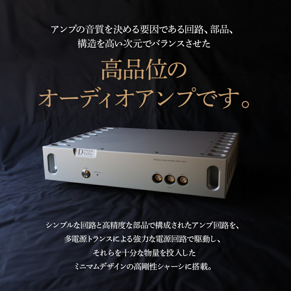 【ふるさと納税】ヘッドホンアンプ＜カラー：シルバー＞　【11218-0825-1】 サムネイル2
