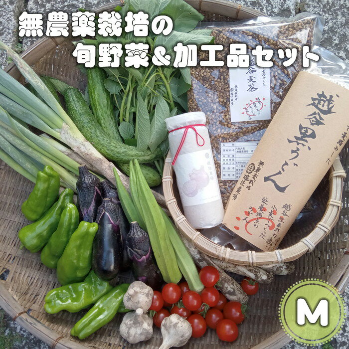 無農薬栽培の旬野菜＆加工品セット　M ／ やさい 安全 安心 オーガニック野菜 詰合せ 送料無料 埼玉県 No.053