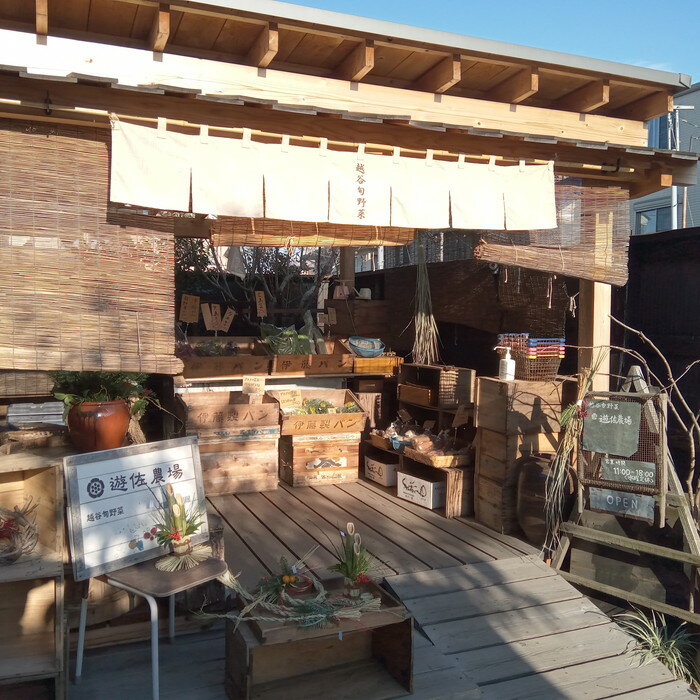 【ふるさと納税】 無農薬栽培の旬野菜＆加工品セット　M ／ やさい 安全 安心 オーガニック野菜 詰合せ 送料無料 埼玉県 No.053 - 画像3