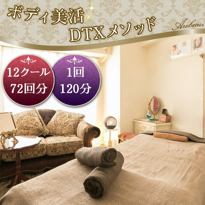 No.256 ボディ美活DTXメソッド　12クール　72回（1回120分） ／ チケット 伝統医療 慢性疲労 体調改善 オールハンド 肥満予防 痩せ エイジングケア 送料無料 埼玉県