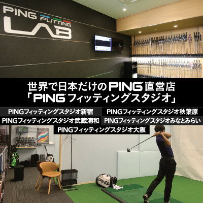 【ふるさと納税】【PING】(ピンゴルフ)　ゴルフクラブ購入補助券(10,000円分)_ ゴルフクラブ ゴルフ アイアン ドライバー ウェッジ ピンゴルフ PING G430 購入補助券 人気 送料無料 ギフト 贈答 プレゼント 【1453330】 サムネイル2
