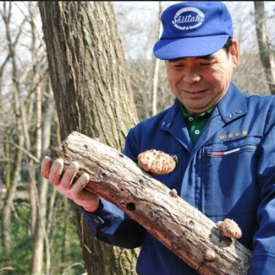 【ふるさと納税】貫井園の原木干し椎茸　50g×3パック　肉厚どんこ【1298150】 - 画像3