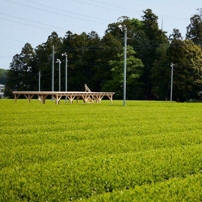 【ふるさと納税】茶畑テラス茶の輪利用券【坂本園プラン5名分】【1475470】 サムネイル3