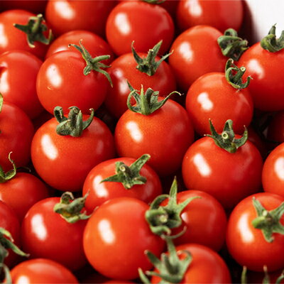 【ふるさと納税】入間市産完熟ミニトマト「千果(ちか)」2kg【配送不可地域：離島】【1491951】 - 画像3