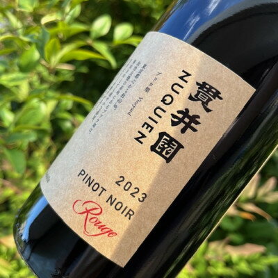 【ふるさと納税】2023 赤ワイン　ピノ・ノワール100%　3本　貫井園のワイン【1581396】 サムネイル2