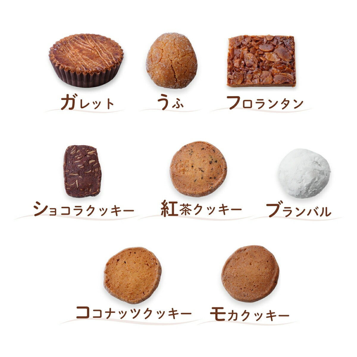 【ふるさと納税】焼き菓子 クッキー 詰め合わせ 8種 | 焼菓子 cookie 5000円 ガレット フロランタン ブランバル ココナッツ 紅茶 アーモンドショコラ バター プレゼント ギフト 箱入り ケーキハウスナナ 埼玉県 北本市 - 画像3
