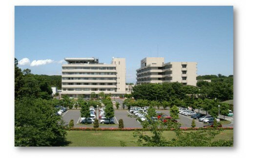 【ふるさと納税】日帰り 人間ドッグ | 人間ドッグ 人間ドック 健康維持 早期発見 早期治療 年一回 検査 呼吸器 消化器 循環器 乳腺 聴力 眼科系 血液 脂質 糖尿病 肝機能 蛋白 膵機能 血液疾患 埼玉県 北本市 サムネイル2
