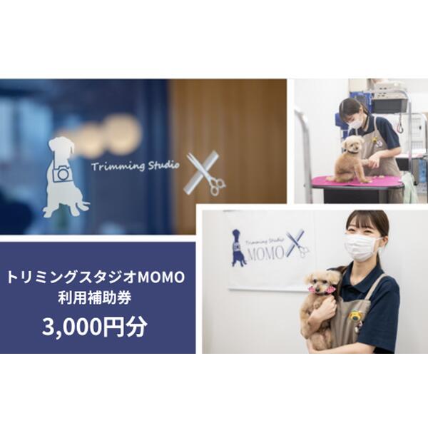 トリミング＆写真撮影利用補助券 ( 3000円分 ) トリミングスタジオMOMO | 埼玉県 北本市 トリミングチケット 犬と猫のトリミング 写真撮影 記念 ペットサービス ペットケア ペットサロン