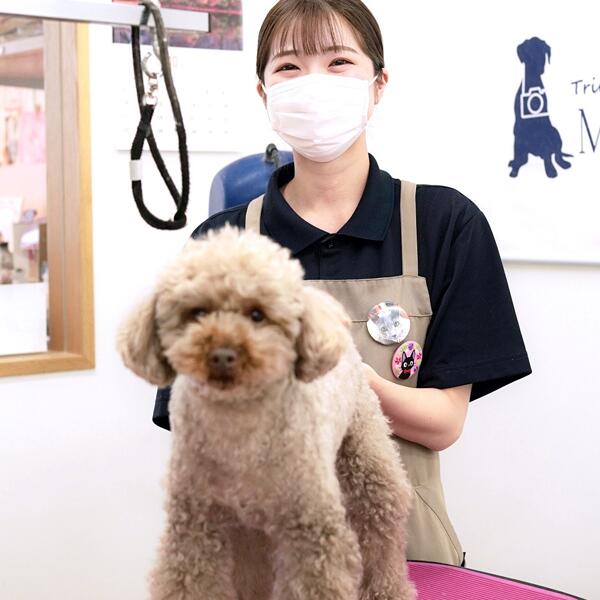 【ふるさと納税】トリミング＆写真撮影利用補助券 ( 3000円分 ) トリミングスタジオMOMO | 埼玉県 北本市 トリミングチケット 犬と猫のトリミング 写真撮影 記念 ペットサービス ペットケア ペットサロン サムネイル2