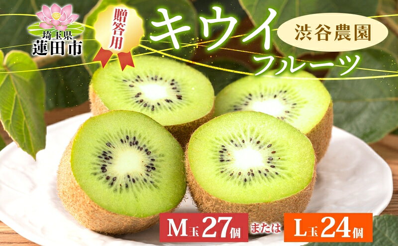 【ふるさと納税】キウイフルーツ贈答用 L玉24個またはM玉27個 果物詰合せ 　お届け：12月上旬から4月末まで サムネイル2