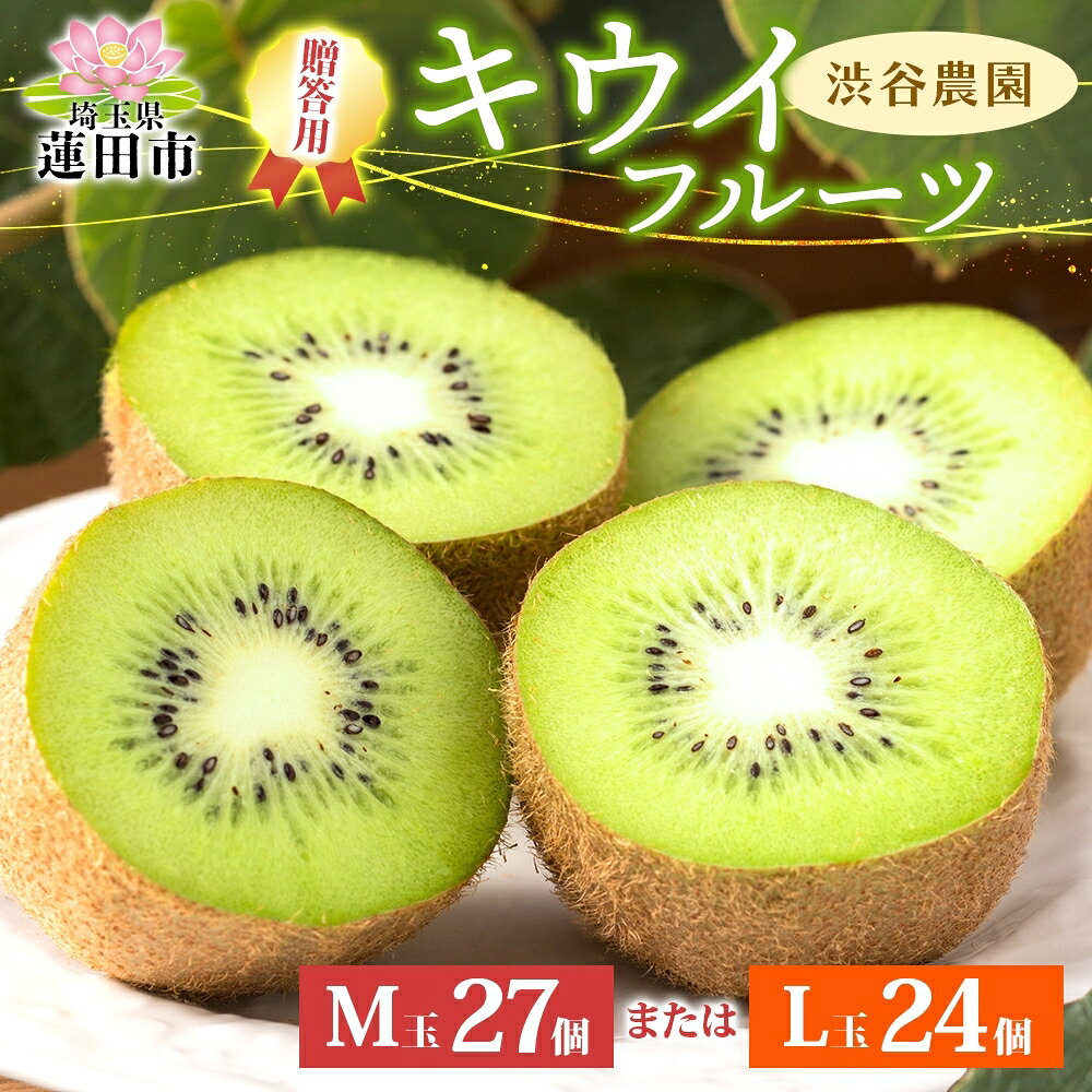 キウイフルーツ贈答用 L玉24個またはM玉27個 果物詰合せ 　お届け：12月上旬から4月末まで