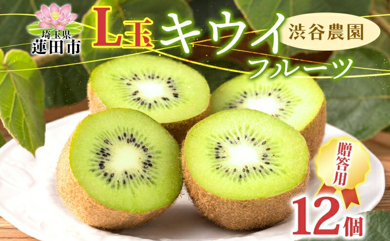 【ふるさと納税】キウイフルーツ贈答用 小箱 L玉12個 果物類 果物 詰合せ セット 　お届け：12月上旬から4月末まで サムネイル2