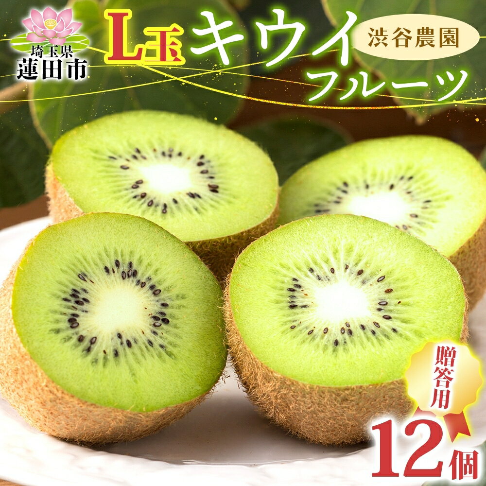 キウイフルーツ贈答用 小箱 L玉12個 果物類 果物 詰合せ セット 　お届け：12月上旬から4月末まで