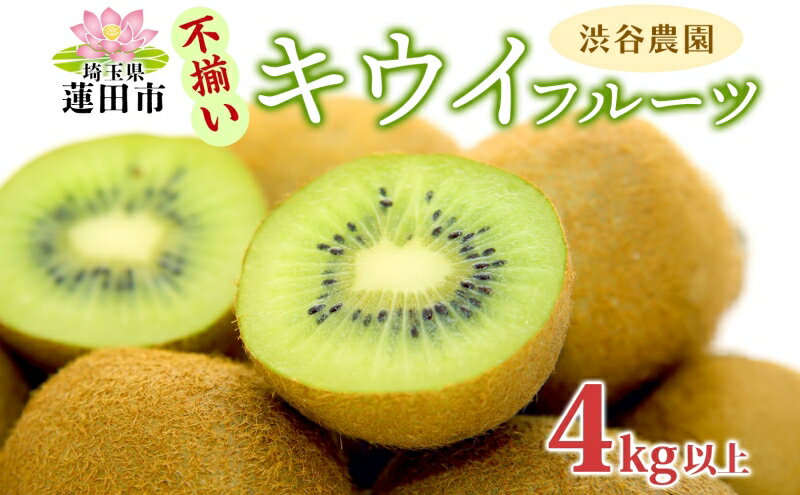 【ふるさと納税】キウイフルーツ (グリーン) 不揃い 4kg以上【 埼玉県 蓮田産 】 果物 訳あり 甘さと酸味のバランスの良いキウイ 　お届け：12月下旬から4月末まで サムネイル2
