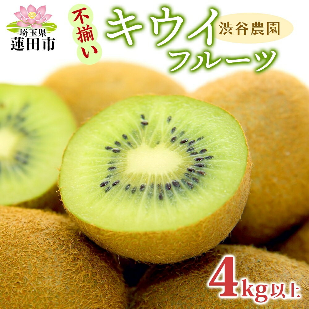 キウイフルーツ (グリーン) 不揃い 4kg以上【 埼玉県 蓮田産 】 果物 訳あり 甘さと酸味のバランスの良いキウイ 　お届け：12月下旬から4月末まで