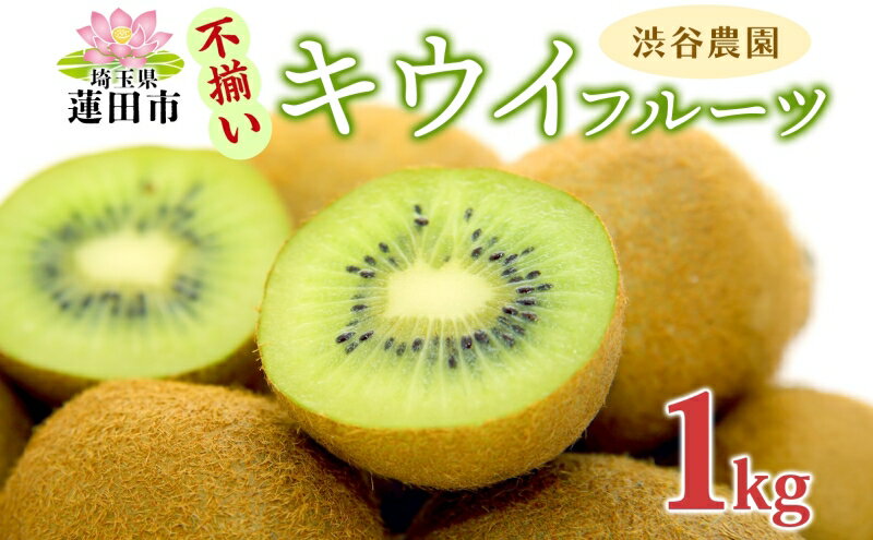 【ふるさと納税】渋谷農園 キウイフルーツ(グリーン) 不揃い 1kg以上 訳あり キウイ グリーンキウイ フルーツ 栄養 ビタミンC 食物繊維 酵素 カリウム 葉酸 ビタミンE 低カロリー 果実 果物 お取り寄せ 送料無料 蓮田市　お届け：2025年12月25日～2026年4月30日 サムネイル2