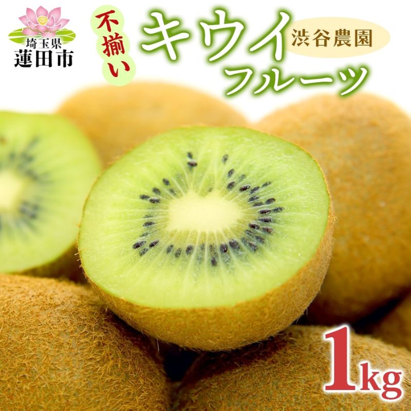 渋谷農園 キウイフルーツ(グリーン) 不揃い 1kg以上 訳あり キウイ グリーンキウイ フルーツ 栄養 ビタミンC 食物繊維 酵素 カリウム 葉酸 ビタミンE 低カロリー 果実 果物 お取り寄せ 送料無料 蓮田市　お届け：2025年12月25日～2026年4月30日