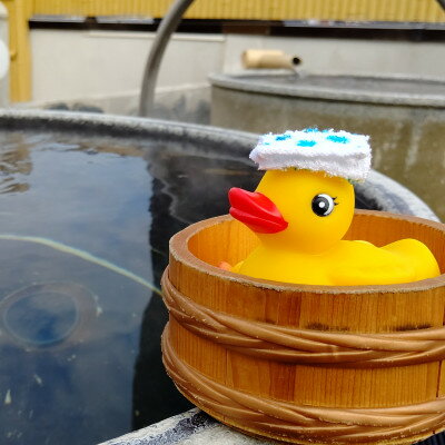 【ふるさと納税】天然温泉ふるさとの湯 入浴回数券 10枚綴り【1602074】 サムネイル2