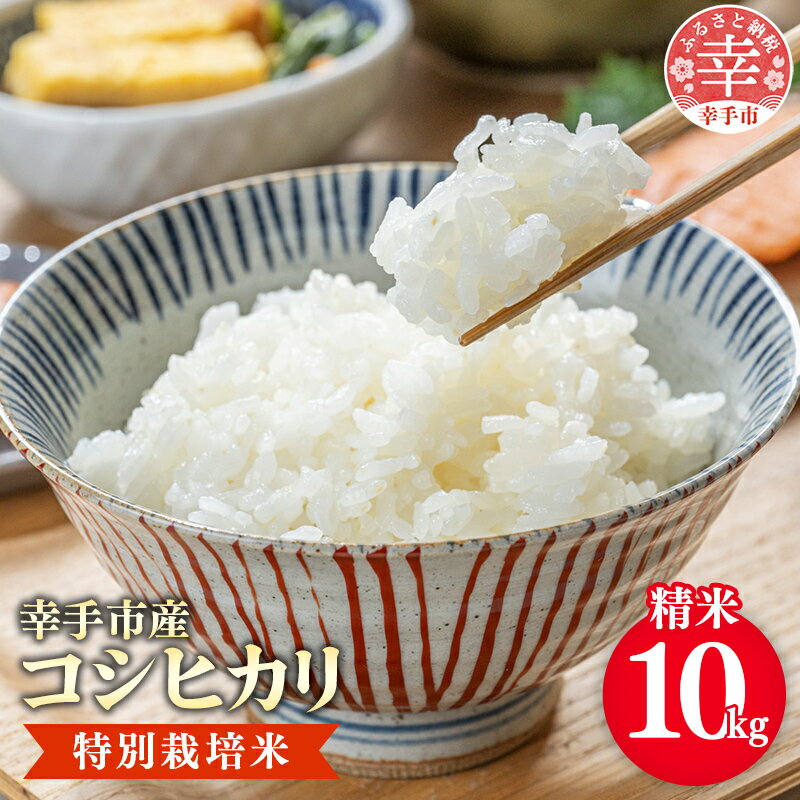 【令和7年産】有機肥料100％ 埼玉県幸手市産特別栽培コシヒカリ 精米10kg -2025年10月1週目より順次発送 新米発送 コシヒカリ こしひかり 米 精米 10kg 有機肥料 特別栽培米 幸手市産 埼玉県 幸手市