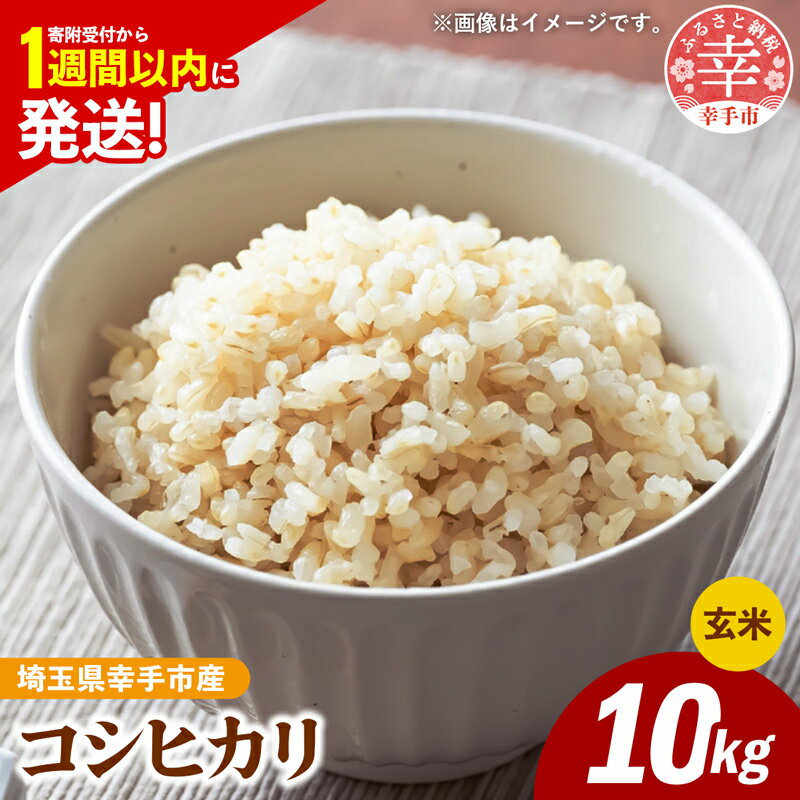 令和7年産 幸手市産 コシヒカリ 玄米10kg 色彩選別済 Brown Rice - お米 米 こしひかり 玄米 10kg 埼玉県 幸手市