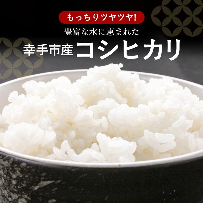 【ふるさと納税】令和7年産 幸手市産 コシヒカリ 玄米10kg 色彩選別済 Brown Rice - お米 米 こしひかり 玄米 10kg 埼玉県 幸手市 - 画像2