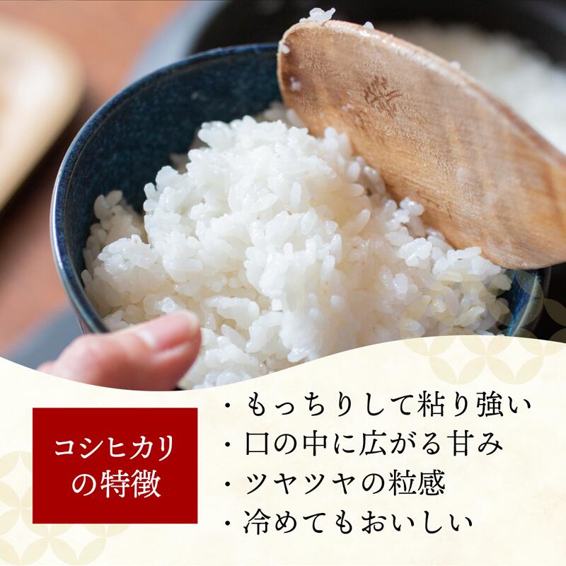 【ふるさと納税】令和7年産 幸手市産 コシヒカリ 玄米10kg 色彩選別済 Brown Rice - お米 米 こしひかり 玄米 10kg 埼玉県 幸手市 - 画像3