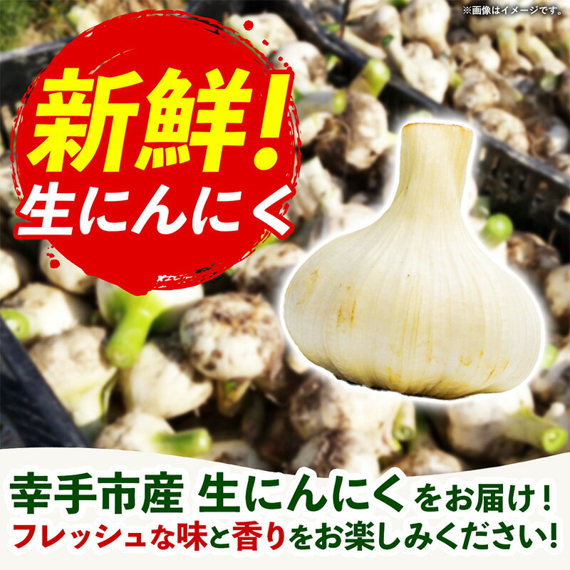【ふるさと納税】【きあり農園】2026年度 幸手市産 にんにく 1kg - 採れたて ニンニク ガーリック 産地直送 野菜 ベジタブル 美味しい おいしい 根菜 スタミナ 大蒜 生にんにく 国産 おすすめ 送料無料 埼玉県 幸手市 - 画像2