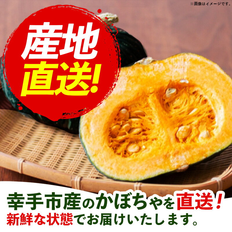 【ふるさと納税】【きあり農園】2026年度 幸手市産 ミニかぼちゃ 3個 - カボチャ 南瓜 栗てまり 産地直送 野菜 ベジタブル 美味しい おいしい 緑黄色野菜 使いやすい 国産 おすすめ 送料無料 埼玉県 幸手市 - 画像2