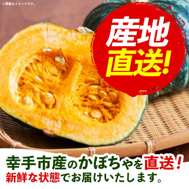 【ふるさと納税】【きあり農園】2026年度 幸手市産 かぼちゃ 約10kg - カボチャ 南瓜 くり大将 くり将軍 産地直送 野菜 ベジタブル 美味しい おいしい 緑黄色野菜 大容量 国産 おすすめ 送料無料 埼玉県 幸手市 - 画像2