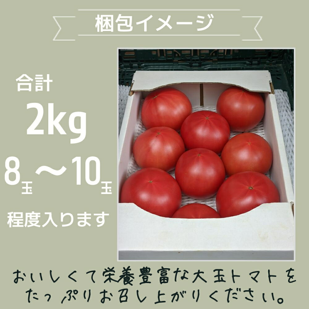 【ふるさと納税】トマト 贈答用 完熟大玉トマト2kg ごほうび or サンロード 先行予約 2026年産 令和8年産 箱入りトマト 箱入り ギフト 埼玉県伊奈町 - 画像3