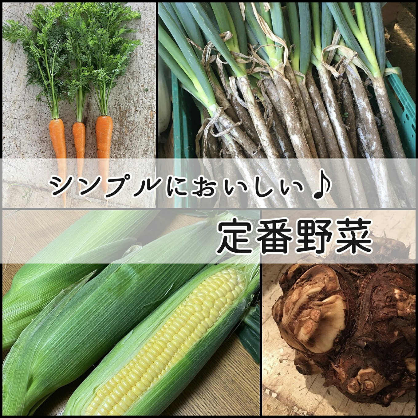 【ふるさと納税】畑の中の採れたて野菜詰め合わせセット ベジボーイの新鮮野菜セット - 画像3