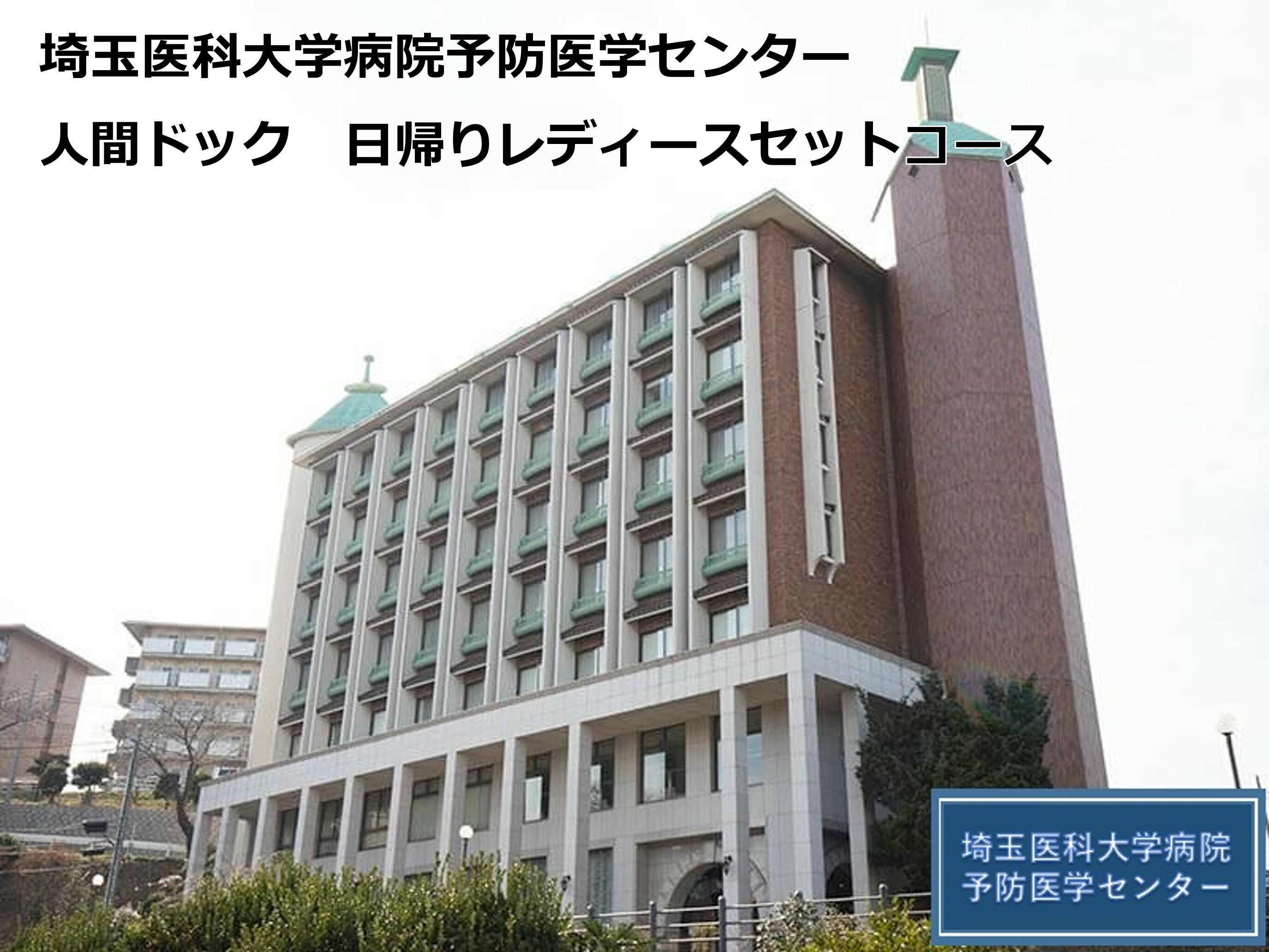 日帰りレディースセットコース 埼玉医科大学病院予防医学センター 人間ドック 日帰り 健康診断 埼玉医大 医大 埼玉医科大学 埼玉県 毛呂山町 ふるさと納税