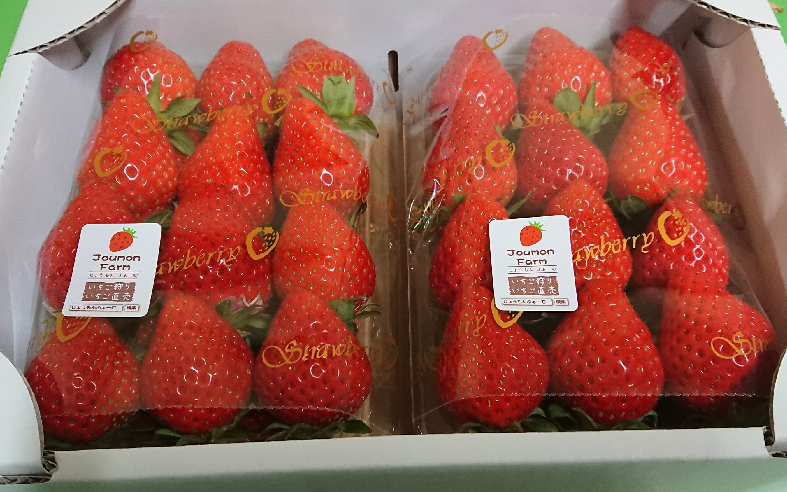 【ふるさと納税】【先行予約】【2026年1月下旬～3月下旬に随時発送】 朝摘み　旬いちご 約300g×4パック サムネイル3