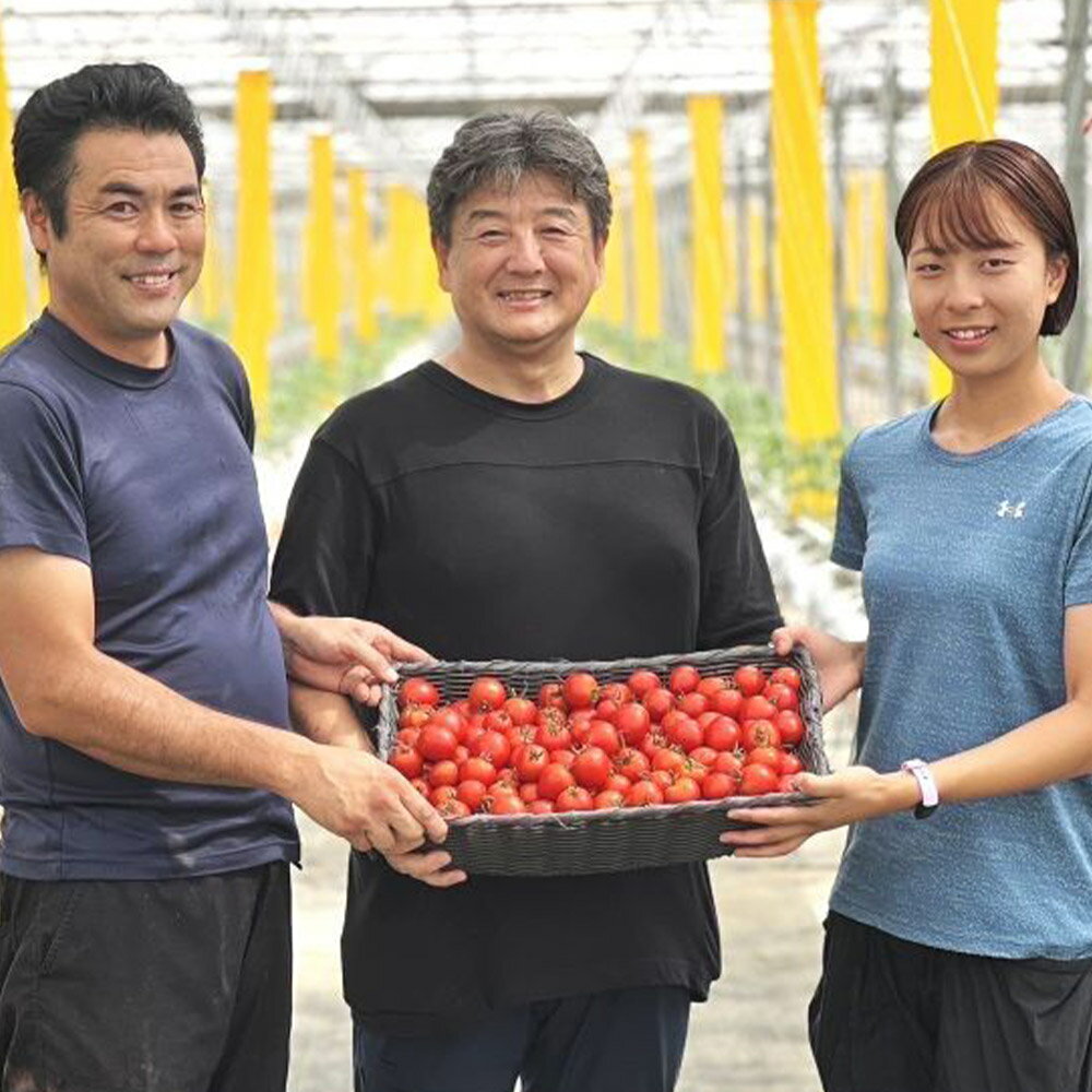 【ふるさと納税】彩トマト 1kg 埼玉県産 ミニトマト - 画像2