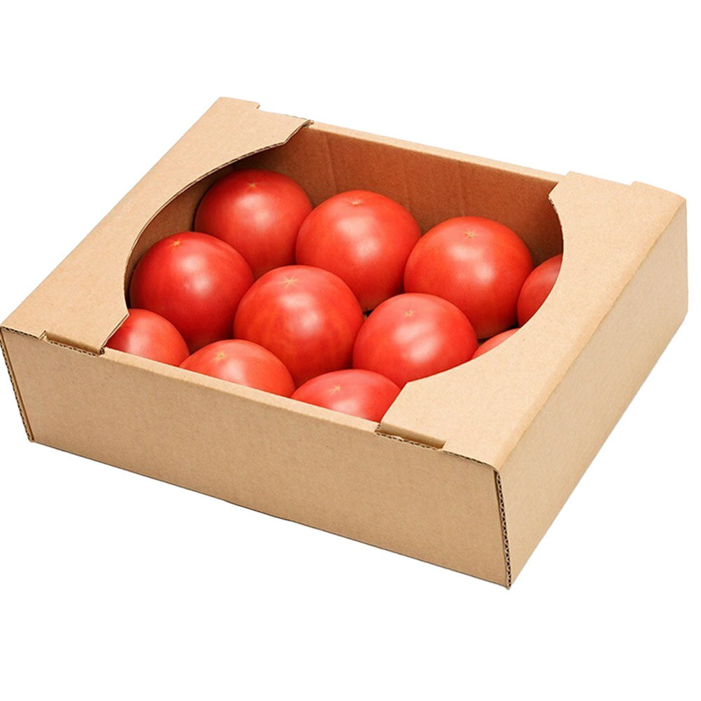 【ふるさと納税】大玉トマト 約2kg（サイズにより9玉〜14玉）埼玉県産 トマト - 画像2