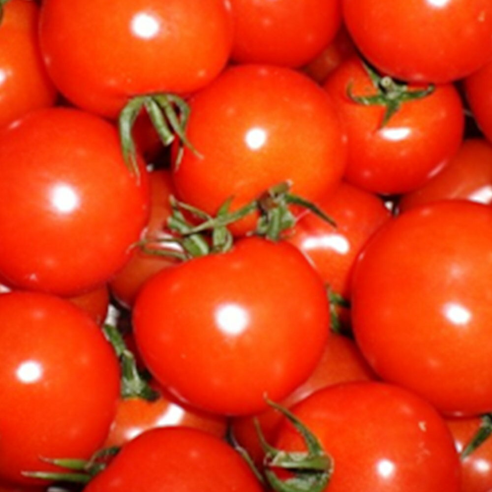 【ふるさと納税】中玉トマト（フルティカ）1kg 埼玉県産 トマト - 画像3