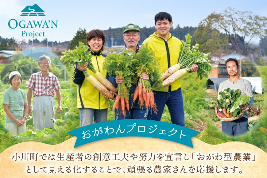 【ふるさと納税】 野菜 詰め合わせ 約3kg OGAWA'N [JA埼玉中央 埼玉県 小川町 135] やさい セット 野菜セット 詰合せ - 画像3