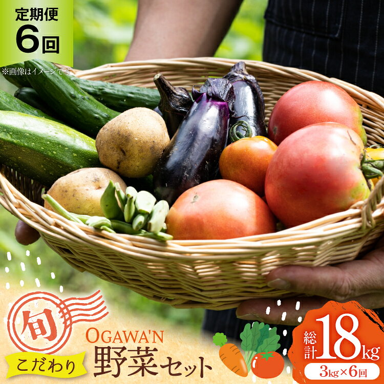 野菜 セット OGAWA'N 野菜セット 定期便 6回 [JA埼玉中央 埼玉県 小川町 137] 6ヶ月 連続 やさい 季節野菜 詰め合わせ 食べ比べ 旬 農産物