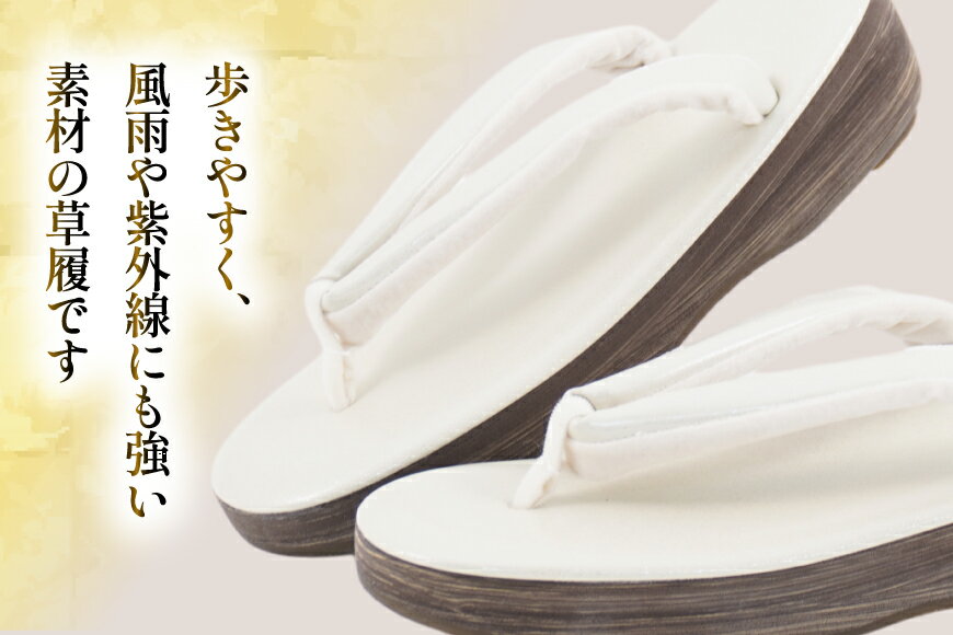 【ふるさと納税】 EVA 草履 【シルバー】 Lサイズ [世美庵 埼玉県 小川町 359-a] ぞうり 和装小物 着物 サムネイル3