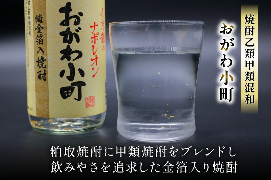 【ふるさと納税】 晴雲 武州おがわの焼酎セット [晴雲酒造 埼玉県 小川町 369] お酒 酒粕 粕取焼酎 サムネイル3