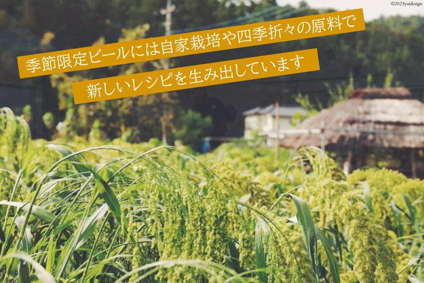 【ふるさと納税】 おすすめ ビール 6本セット [ 麦雑穀工房 埼玉県 小川町 195 ] クラフトビール 地ビール お酒 冷蔵 手作り お酒 酒 麦酒 サムネイル3