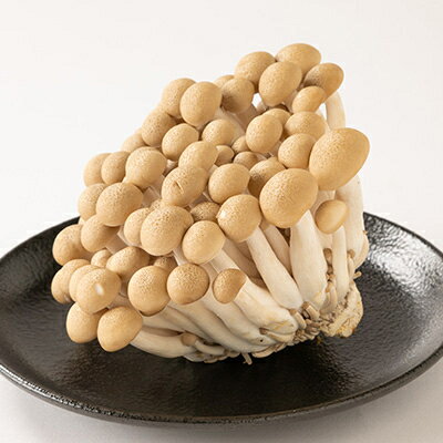 【ふるさと納税】ぶなしめじ　2kg【配送不可地域：離島・北海道・沖縄県・中国・四国・九州】【1296449】 - 画像2