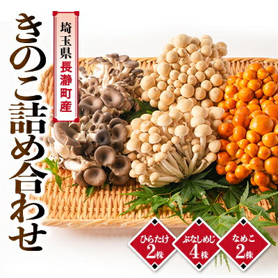 きのこ詰め合わせ(ぶなしめじ4株、なめこ2株、ひらたけ2株)【配送不可地域：離島・北海道・沖縄県・中国・四国・九州】【1296450】
