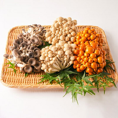 【ふるさと納税】きのこ詰め合わせ(ぶなしめじ4株、なめこ2株、ひらたけ2株)【配送不可地域：離島・北海道・沖縄県・中国・四国・九州】【1296450】 - 画像3