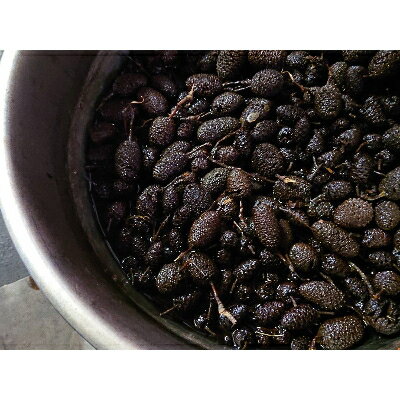 【ふるさと納税】草木染めSilkストール《秩父ヤシャブシ染めチャコールグレー》《百合蔓草(つたくさ)柄》【1375680】 サムネイル2