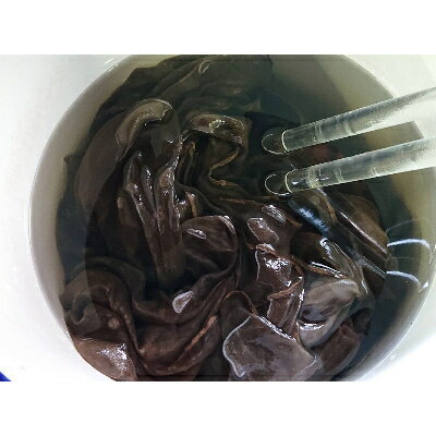 【ふるさと納税】草木染めSilkストール《秩父ヤシャブシ染めチャコールグレー》《百合蔓草(つたくさ)柄》【1375680】 サムネイル3