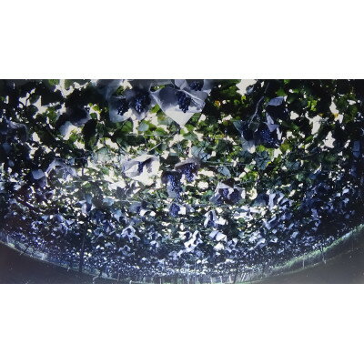 【ふるさと納税】秩父ワイン【秩父山ぶどう】720ml×1本【1635383】 サムネイル3