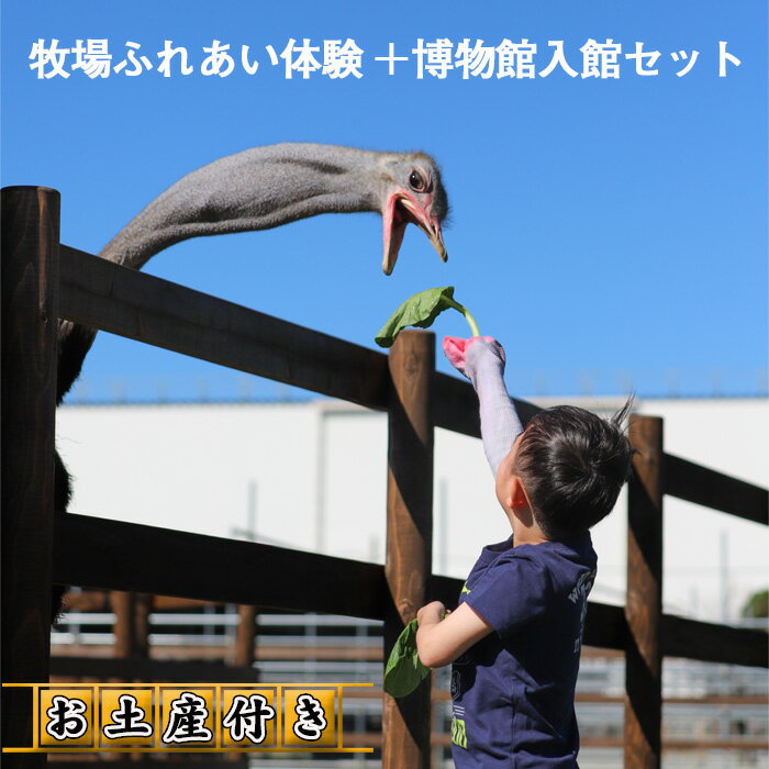 牧場ふれあい体験＋博物館入館セット【お土産付き】 ／ ダチョウ チケット オーストリッチ 送料無料 埼玉県 No.210