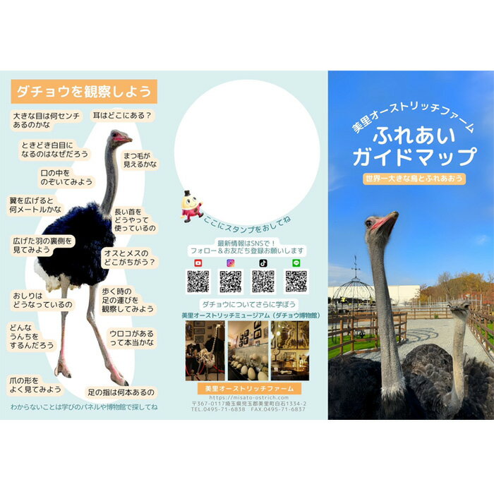 【ふるさと納税】牧場ふれあい体験＋博物館入館セット【お土産付き】 ／ ダチョウ チケット オーストリッチ 送料無料 埼玉県 No.210 サムネイル2